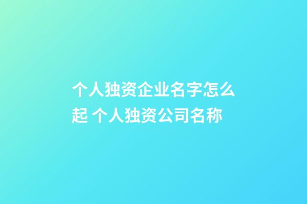 个人独资企业名字怎么起 个人独资公司名称-第1张-公司起名-玄机派